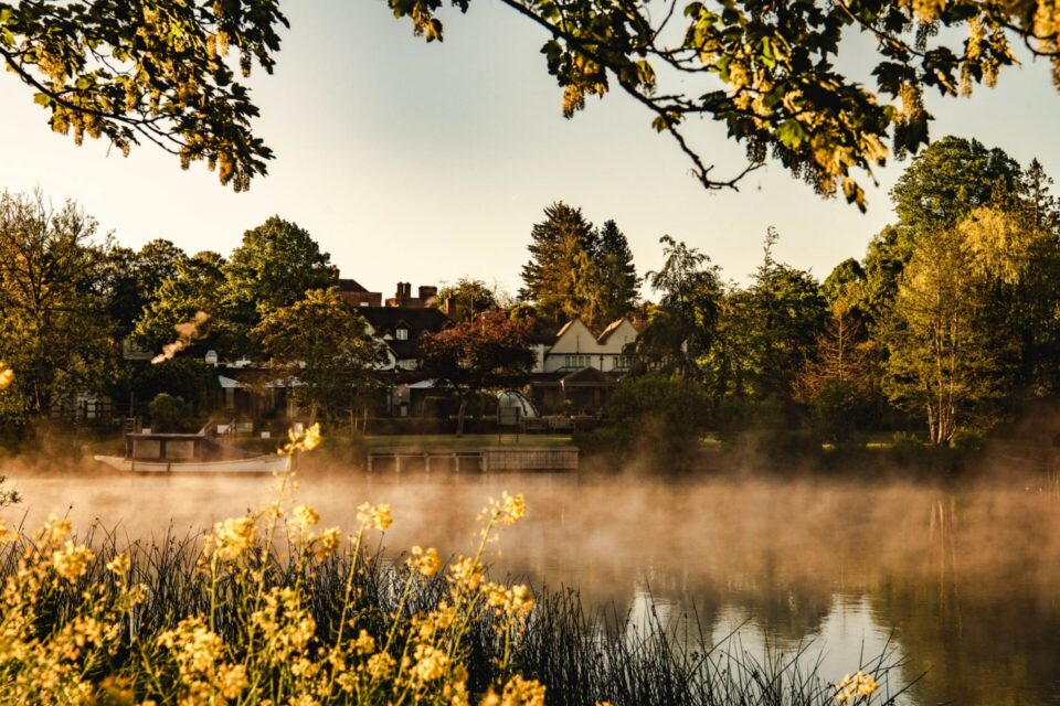 Corporate Wellness Retreats