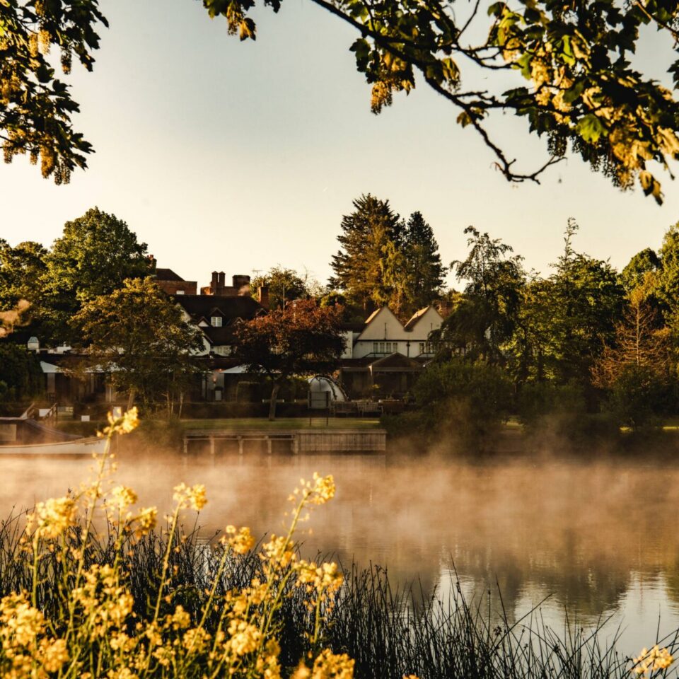 Corporate Wellness Retreats